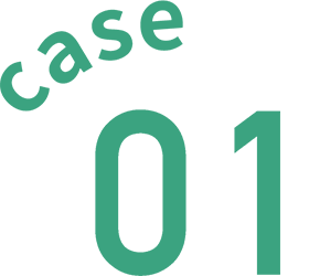 CASE 01