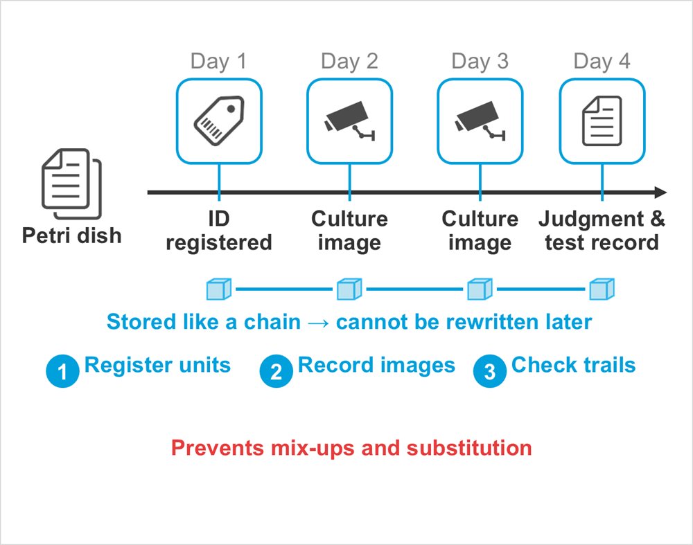 Diagram: Petri dish, ID registered, Day 1, Culture image, Day 2, Culture image, Day 3, Judgment & test record, Day 4, Stored like a chain → cannot be rewritten later, Register units, Record images, Check trails, Prevents mix-ups and substitution