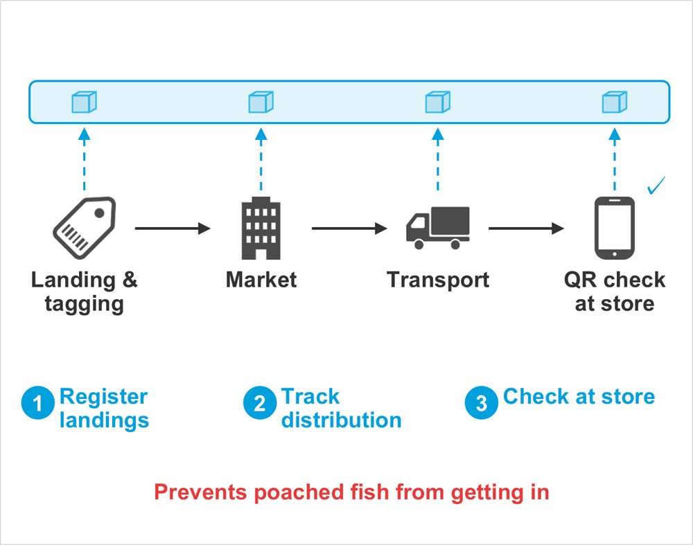 Diagram: Landing & tagging, Market, Transport, QR check at store, Register landings, Track distribution, Check at store, Prevents poached fish from getting in